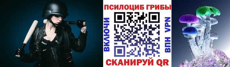 Галлюциногенные грибы мухоморы  блэк спрут зеркало  Рудня  купить наркотики цена 